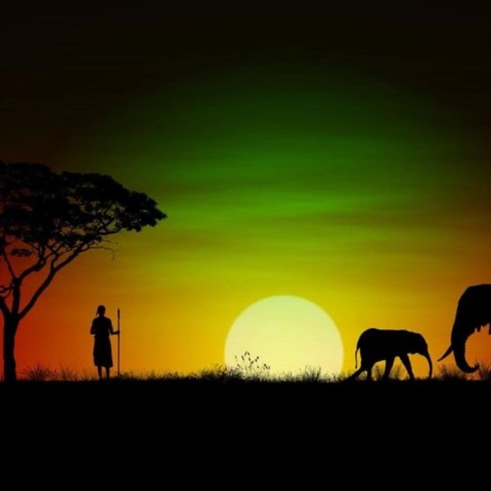 Meet your Posher, Antony